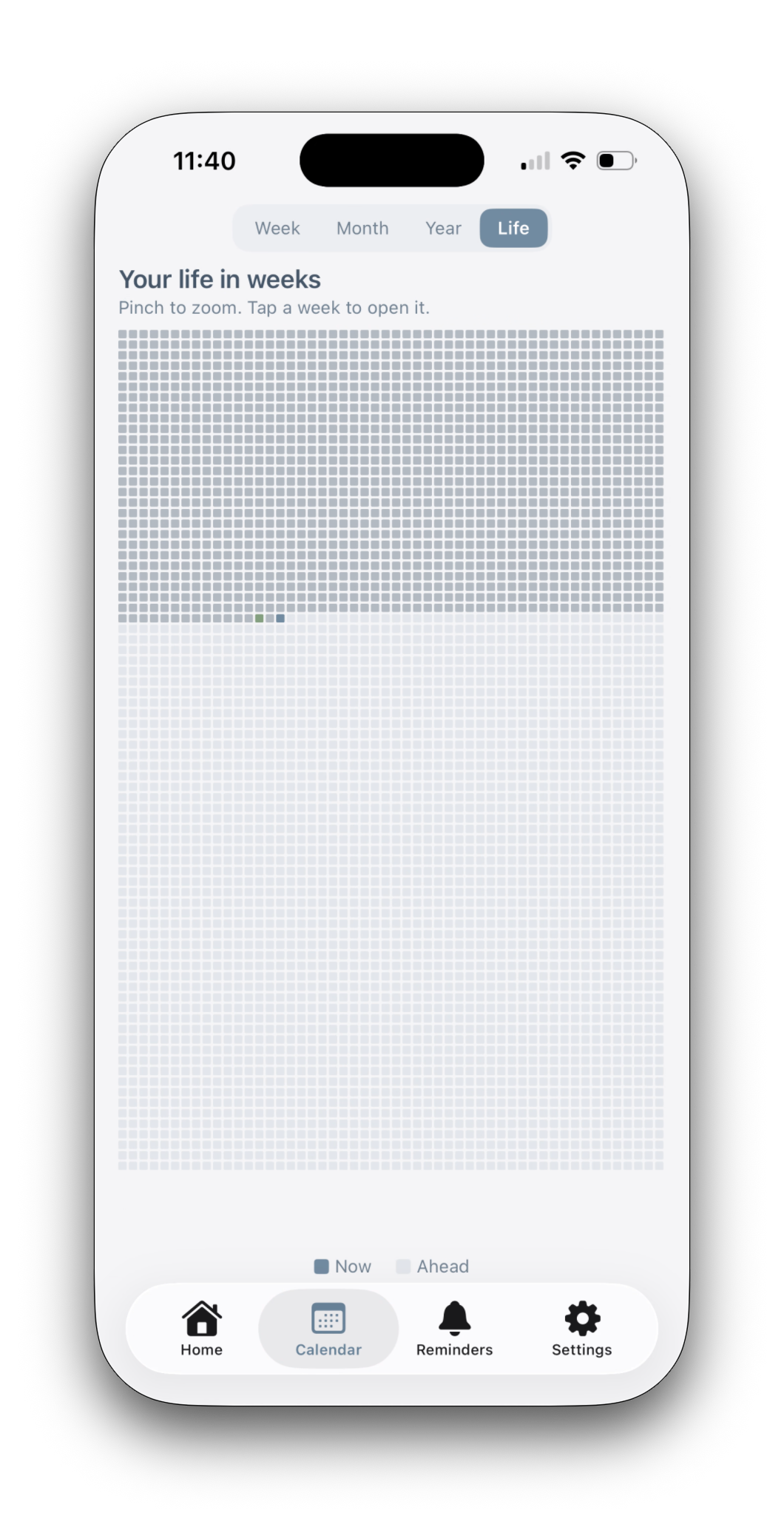Life Calendar